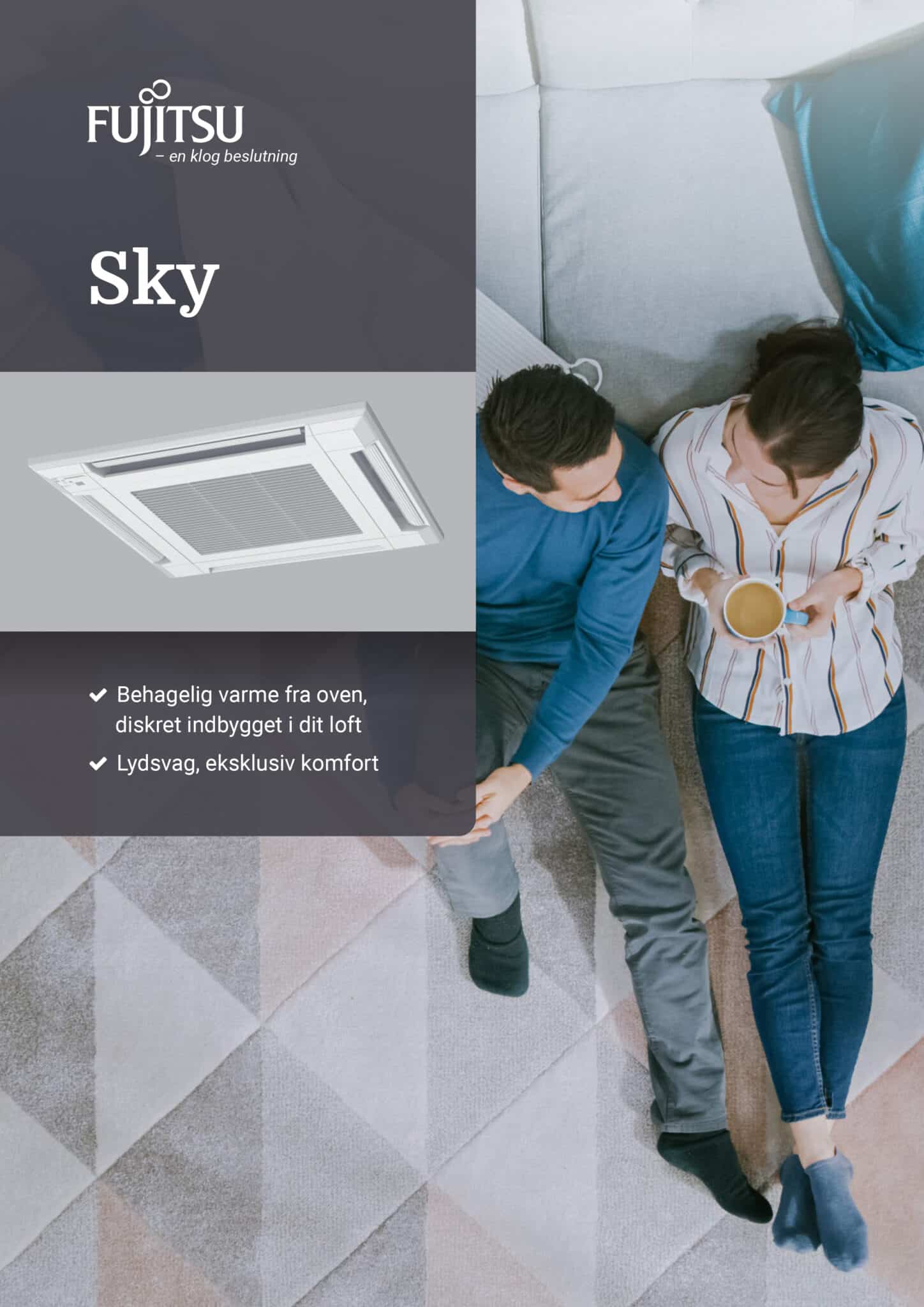 Fujitsu Sky Brochure